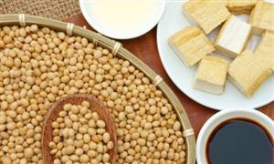 大豆加工市場(chǎng)需求 2023大豆加工行業(yè)發(fā)展前景分析