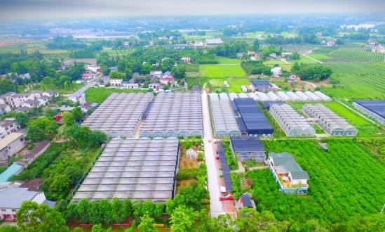 2023現代農業園區行業市場前瞻及投資分析