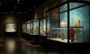 年均接待觀眾5000萬(wàn)人次 北京“博物館之城”建設(shè)初見(jiàn)成效