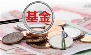 2023中國公募基金行業市場全景調研