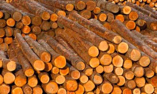 廣西林木行業(yè)市場(chǎng)發(fā)展環(huán)境 廣西林木行業(yè)市場(chǎng)投資趨勢(shì)分析