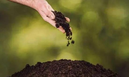 2023微生物肥料行業發展前景投資研究