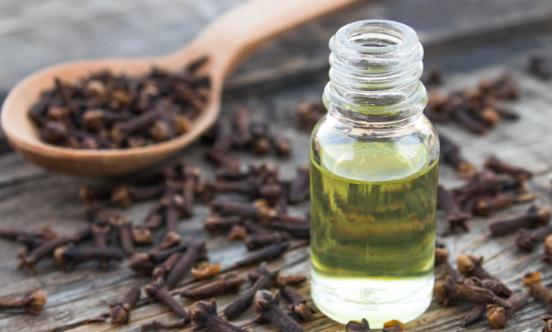 2023中國植物香料行業(yè)市場全景調(diào)研分析