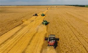 數字鄉村行業市場現狀及前景分析2023