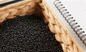 “一帶一路”之巴西礦業(yè)市場(chǎng)前景與行業(yè)未來(lái)前瞻分析