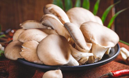 食用菌行業分析 平菇行業市場發展現狀分析2023