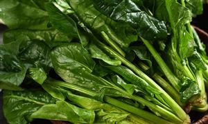 中國綠色蔬菜行業發展趨勢 中國綠色蔬菜行業發展前景分析