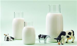 蒙牛乳業寧夏工廠正式落成投產 為全球首座乳業全數智化工廠