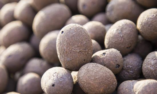 2023陶粒行業發展現狀前景分析