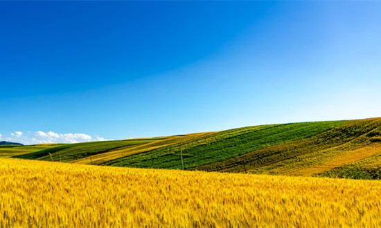 國(guó)家金融監(jiān)督管理總局：全國(guó)涉農(nóng)貸款同比增長(zhǎng)16.4%