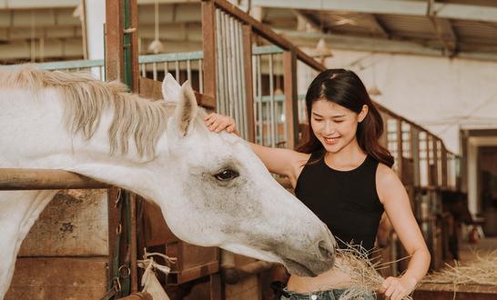 禽飼料市場發展現狀 2023年禽飼料市場投資前景分析