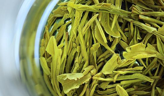 中國茶旅一體化行業發展分析2023