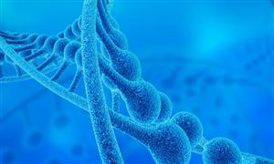 合成樹脂市場淺析 2023合成樹脂市場需求前景分析