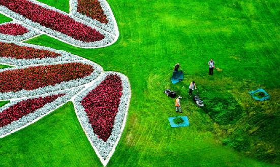 2023年園林綠化工程行業發展現狀及企業競爭狀況分析