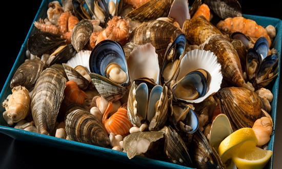 我國是全球的扇貝生產大國 貝類養殖行業發展前景分析