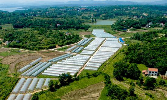 農業生物技術市場現狀及前景分析2023