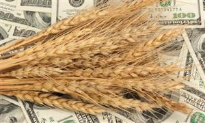 糧食貿易市場投資 2023糧食貿易行業市場現狀分析