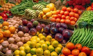 2023富硒農產品行業調研及未來投資前景分析