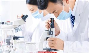 輕燒氧化鎂行業(yè)營(yíng)銷策略分析