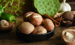 2023輸配電行業企業競爭格局及市場全景調研