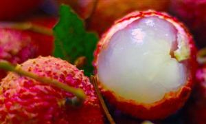 大降價(jià) 你愛(ài)吃的它 每斤價(jià)格已跌至3元 荔枝行業(yè)市場(chǎng)發(fā)展現(xiàn)狀分析