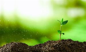 2023土壤修復(fù)行業(yè)市場發(fā)展現(xiàn)狀分析