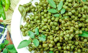 2023年青花椒行業(yè)市場(chǎng)投資價(jià)值分析