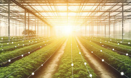 智能化設施農業市場發展趨勢及現狀分析2023