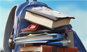 學生雙肩背包市場銷售 2023學生雙肩背包行業發展現狀預測分析