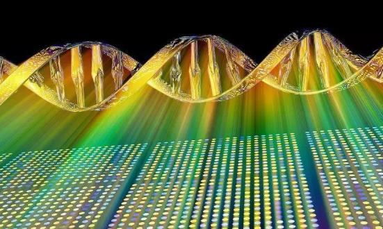 2023基因芯片行業(yè)市場調(diào)查與投資建議分析