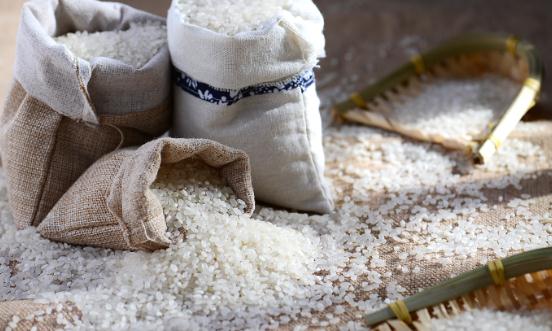 2023大米加工行業市場發展現狀調研分析