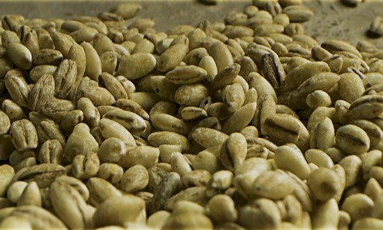 賴氨酸行業市場集中度 2023中國賴氨酸行業發展預測分析