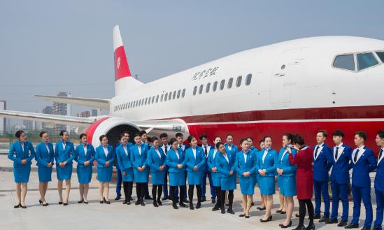 航空教育培訓(xùn)行業(yè)市場(chǎng)深度分析及發(fā)展策略研究