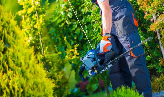 中國園林綠化工程行業市場前瞻2023