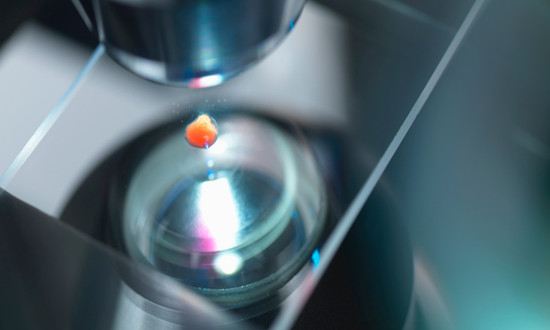 光學(xué)顯微鏡行業(yè)競爭格局分析及發(fā)展投資策略分析2023