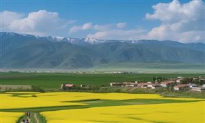 中國鄉(xiāng)村旅游行業(yè)投資規(guī)劃分析 中國鄉(xiāng)村旅游行業(yè)發(fā)展前景預測