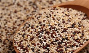 特醫食品行業市場現狀：我國特醫食品產業發展起步晚 但市場需求巨大 產業增長迅速