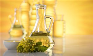 菜油沖高回落 延續調整 菜籽油行業市場深度分析