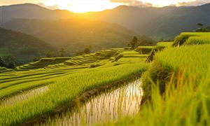 水利部三方面重點強化農村供水保障 農村水利工程行業市場前瞻