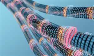 信息技術(shù)行業(yè)市場(chǎng)調(diào)研 新一代信息技術(shù)行業(yè)發(fā)展趨勢(shì)及現(xiàn)狀分析2023