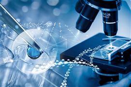 醫美消費低齡化的趨勢 非手術類醫療美容市場占比增加