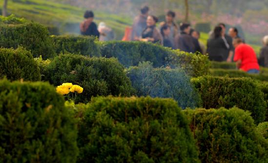 陵園墓地行業全景調研及行業發展潛力分析2023