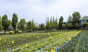 有機農產品行業市場調研　2023中國有機農產品行業前景趨勢