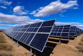 2023中國光伏組件出口超290億美元 全國晶硅組件產量超過204GW