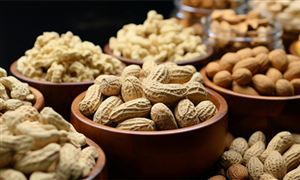 2023花生行業(yè)市場(chǎng)調(diào)研分析 花生行業(yè)發(fā)展方向及趨勢(shì)