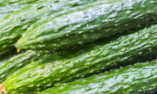 2023年黃瓜行業市場調研及前景趨勢分析