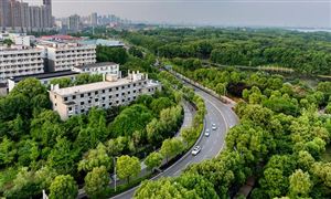 農村電網改造行業發展趨勢 農村電網改造行業發展分析報告