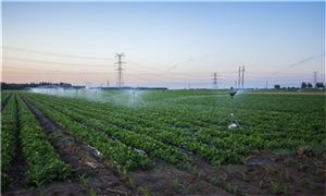 2023節水灌溉行業現狀與市場發展前景趨勢分析