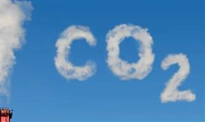 2023碳中和產業調研及投資分析