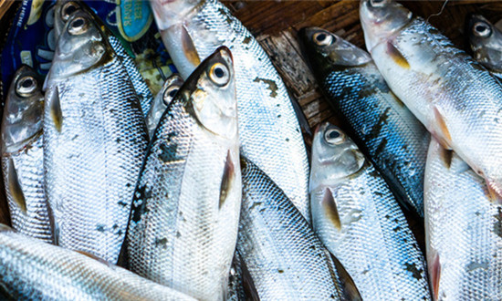 水產品批發市場分析 水產品批發行業市場前景分析